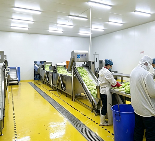 浙江富丹旅游食品-昊鹰案例