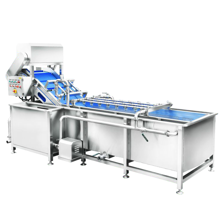 全自动连续式叶菜类洗菜线